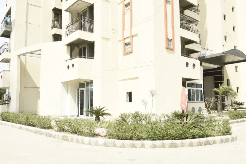 March-2019 7